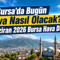 Bursa