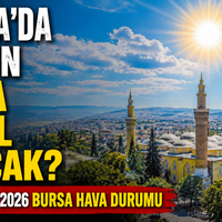 Bursa