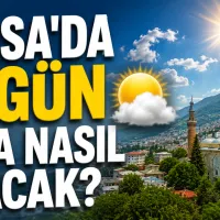 Bursa