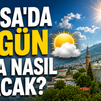 Bursa