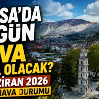 Bursa