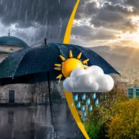 Bursa