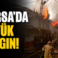 Bursa