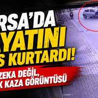 Bursa