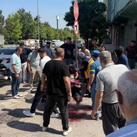 Bursa
