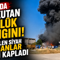 Bursa