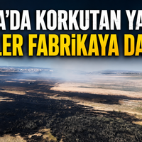 Bursa