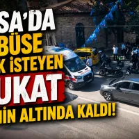 Bursa