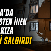 Bursa