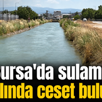 Bursa