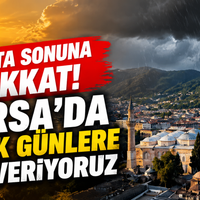 Bursa