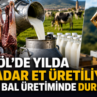 İnegöl