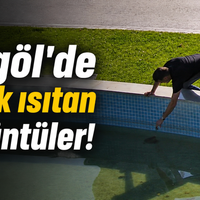 İnegöl
