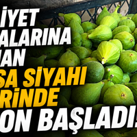 Bursa