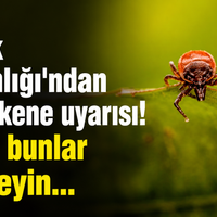 Sağlık