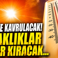 Bursa