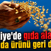 Güncel