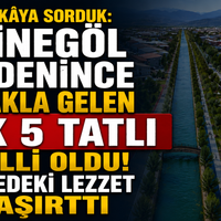 İnegöl