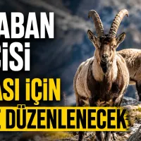 Yaşam
