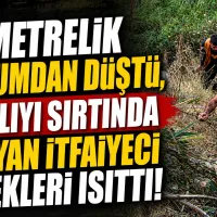 Bursa
