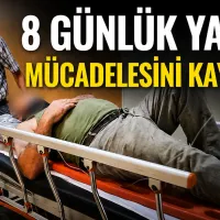 Bursa