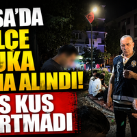 Bursa