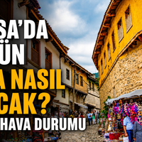 Bursa