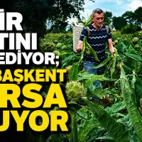 Bursa