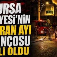 Bursa