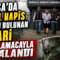 Bursa