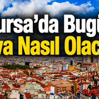 Bursa