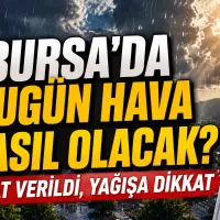 Bursa
