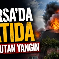 Bursa