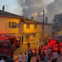 Bursa