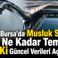 Bursa