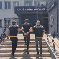 Bursa