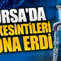 Bursa