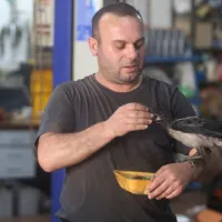 Bursa