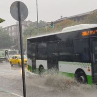 Bursa