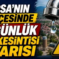 Bursa