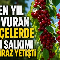Güncel