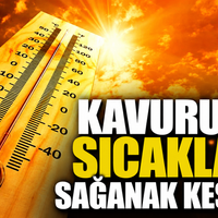 Güncel