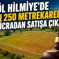 Bursa