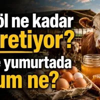 İnegöl