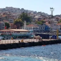 Bursa