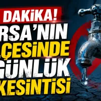 Bursa