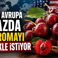 Bursa