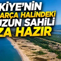 Bursa