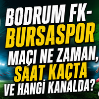 Spor