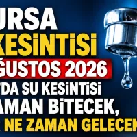 Bursa